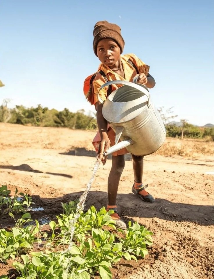 Child watering crops at Jessie's House Farm