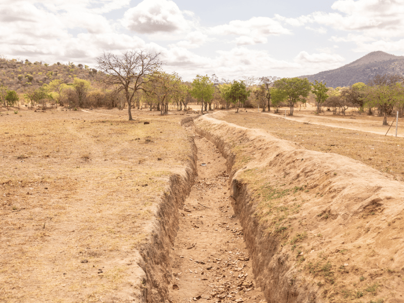 Water harvesting techniques in place at Jessie's House Farm