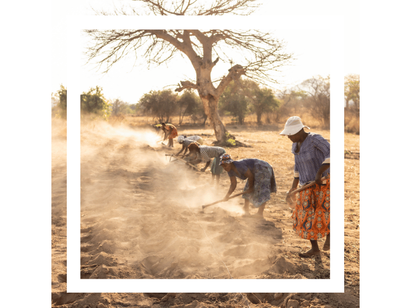 Heal the Land project overview