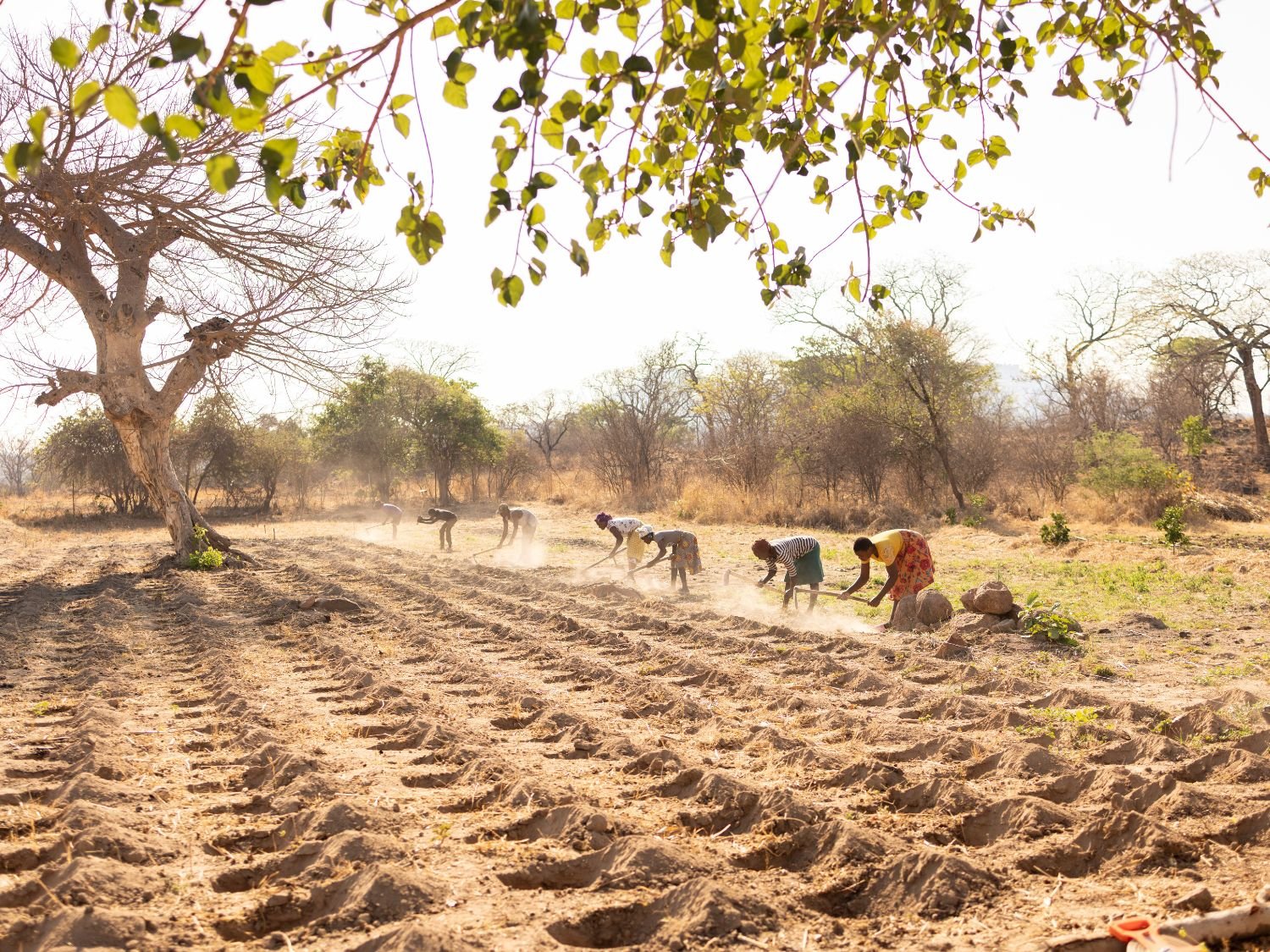 Farmers using sustainable farming techniques learnt at Heal the Land five-year plan to restore water sources