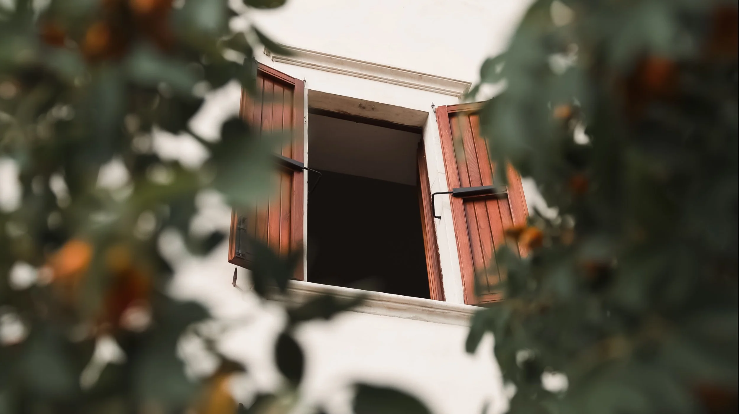 Screenshot 2025-07-29 at 15.12.25.JPG