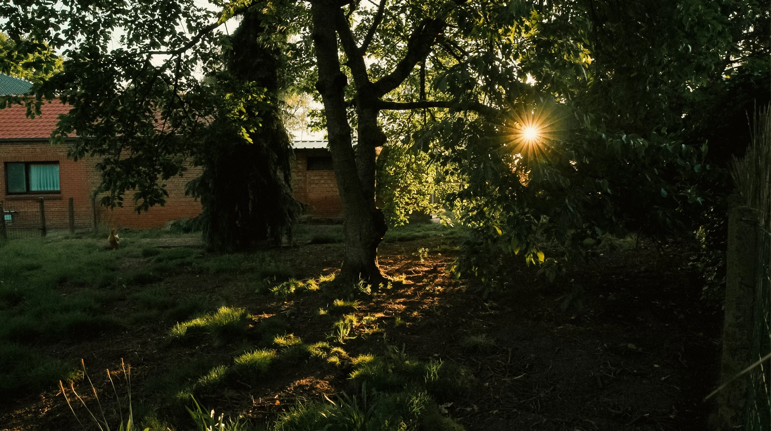 Screenshot 2025-05-30 at 17.56.31.JPG