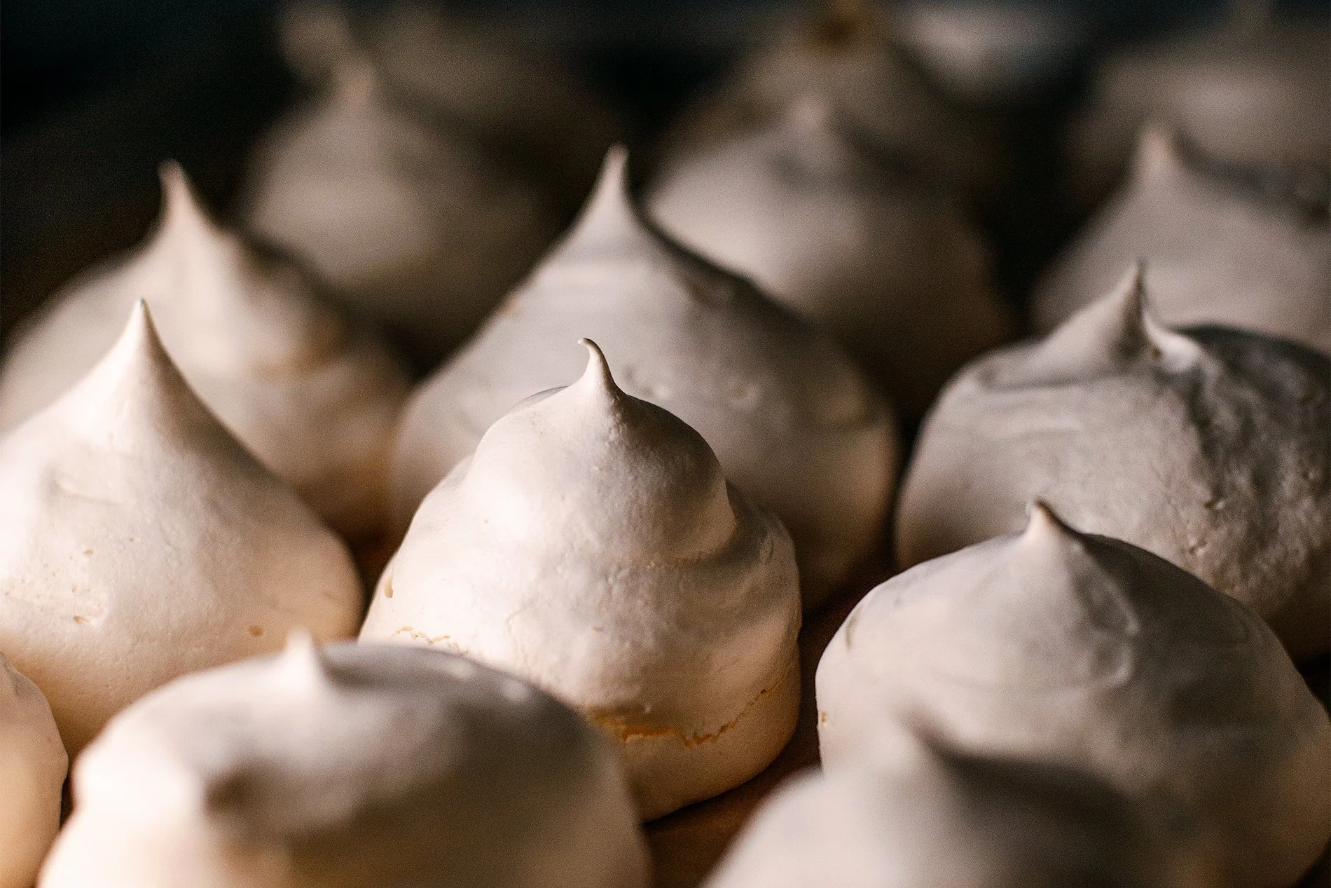 IMG_3192 kopie 2.jpg