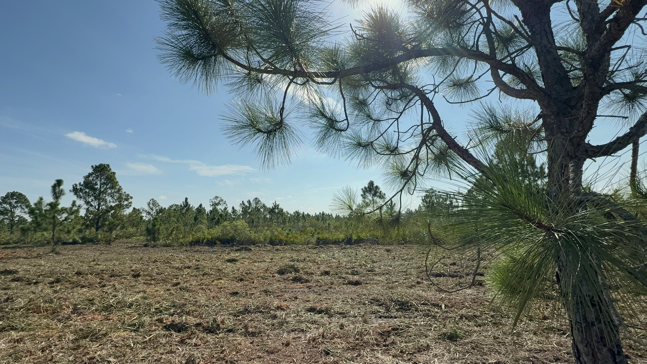 The Land Is Getting Cleared… The Dream Is Real.