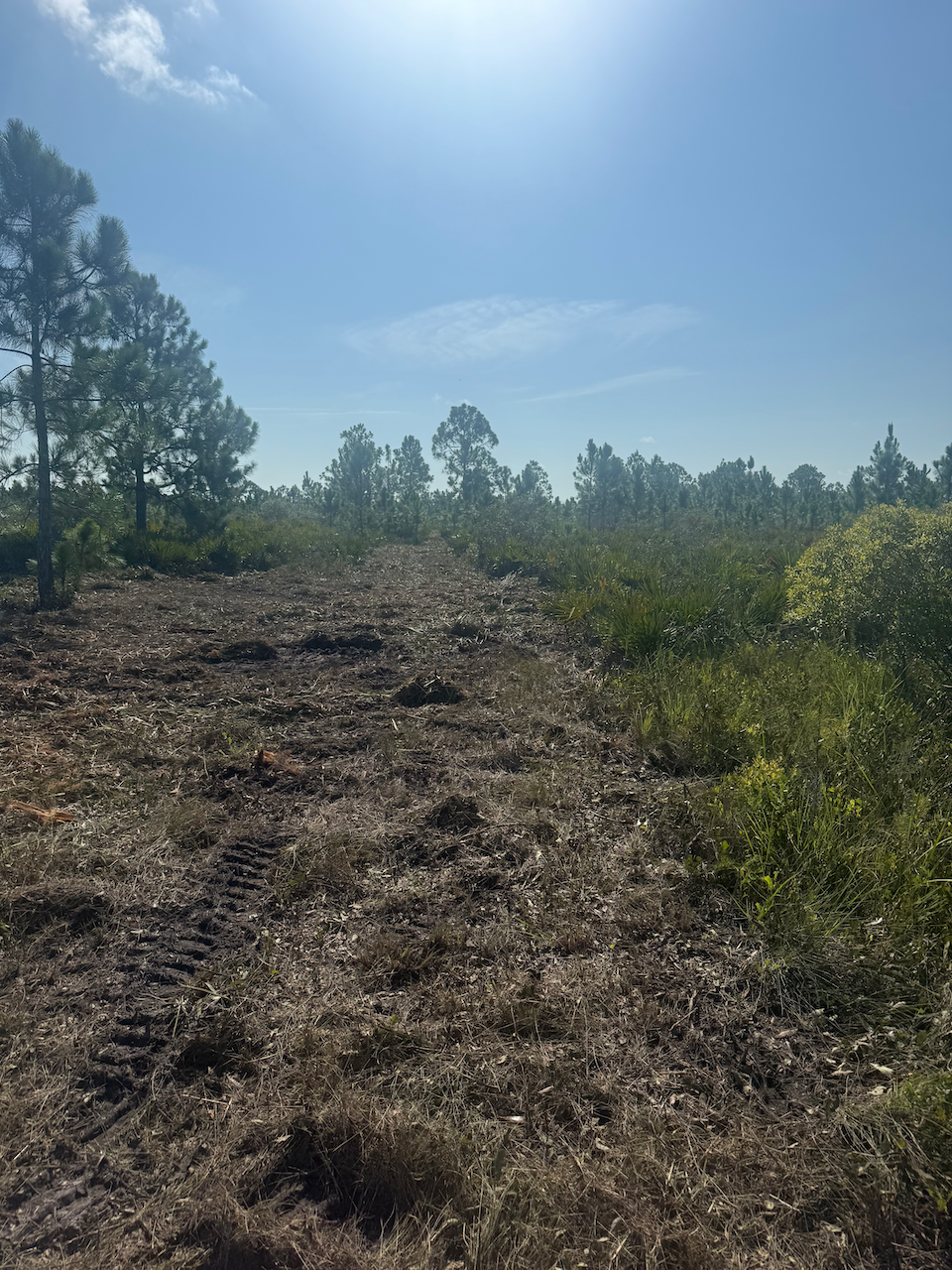 What Building a Ranch Taught Me About Faith