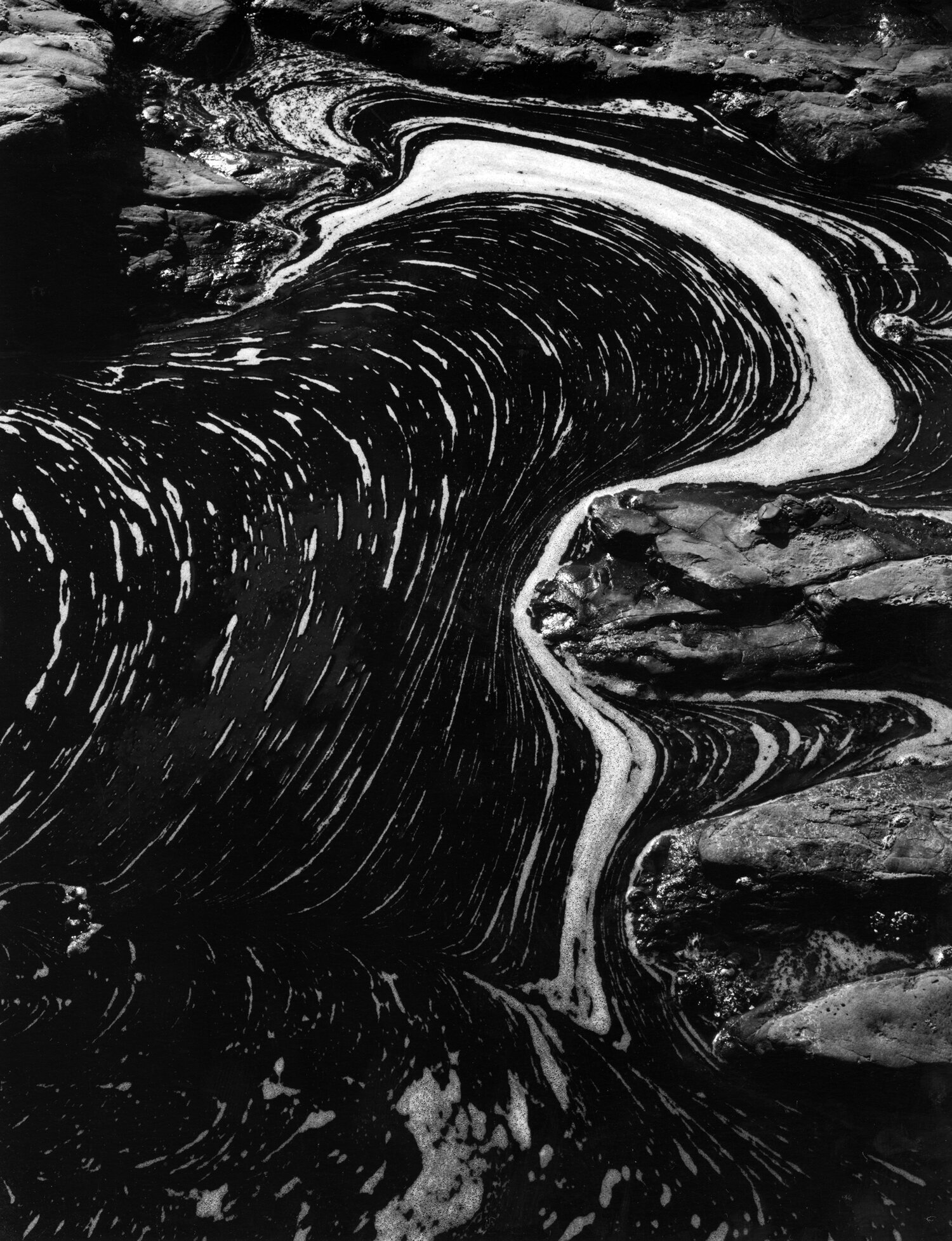 Weston Photography's March 2021 Print of the Month is The Questioning