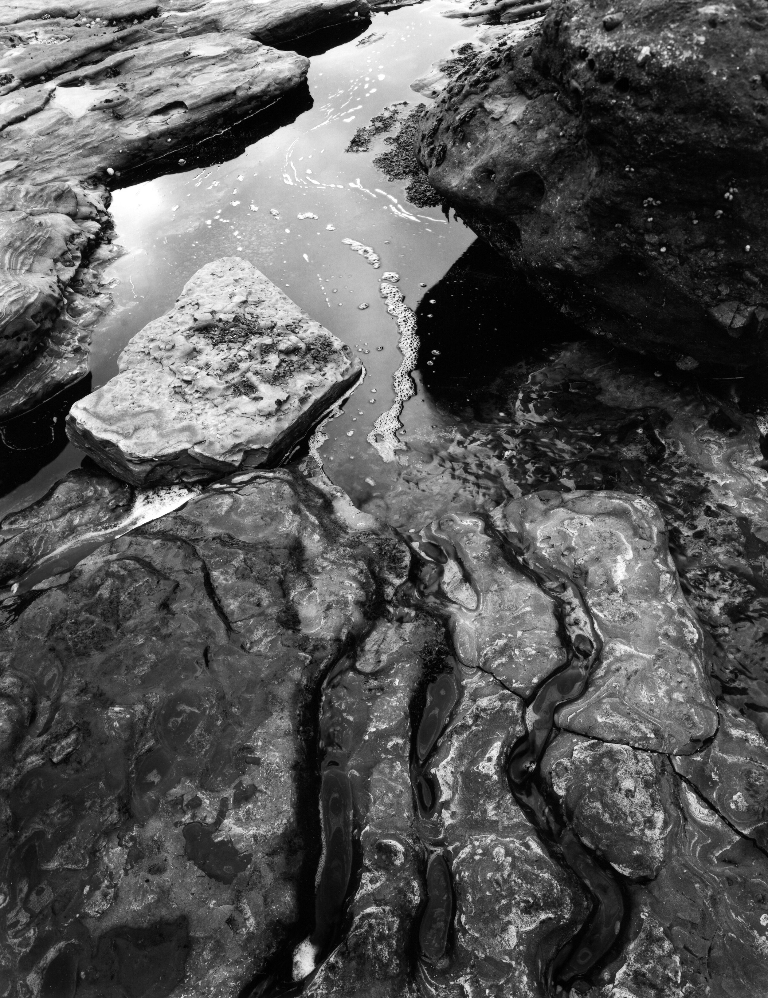 Weston Photography's 2021 Print of the Month Portfolio!