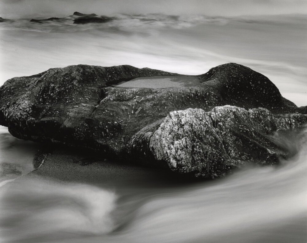 Weston Photography's August 2020 Print of the Month is Stand Your Ground