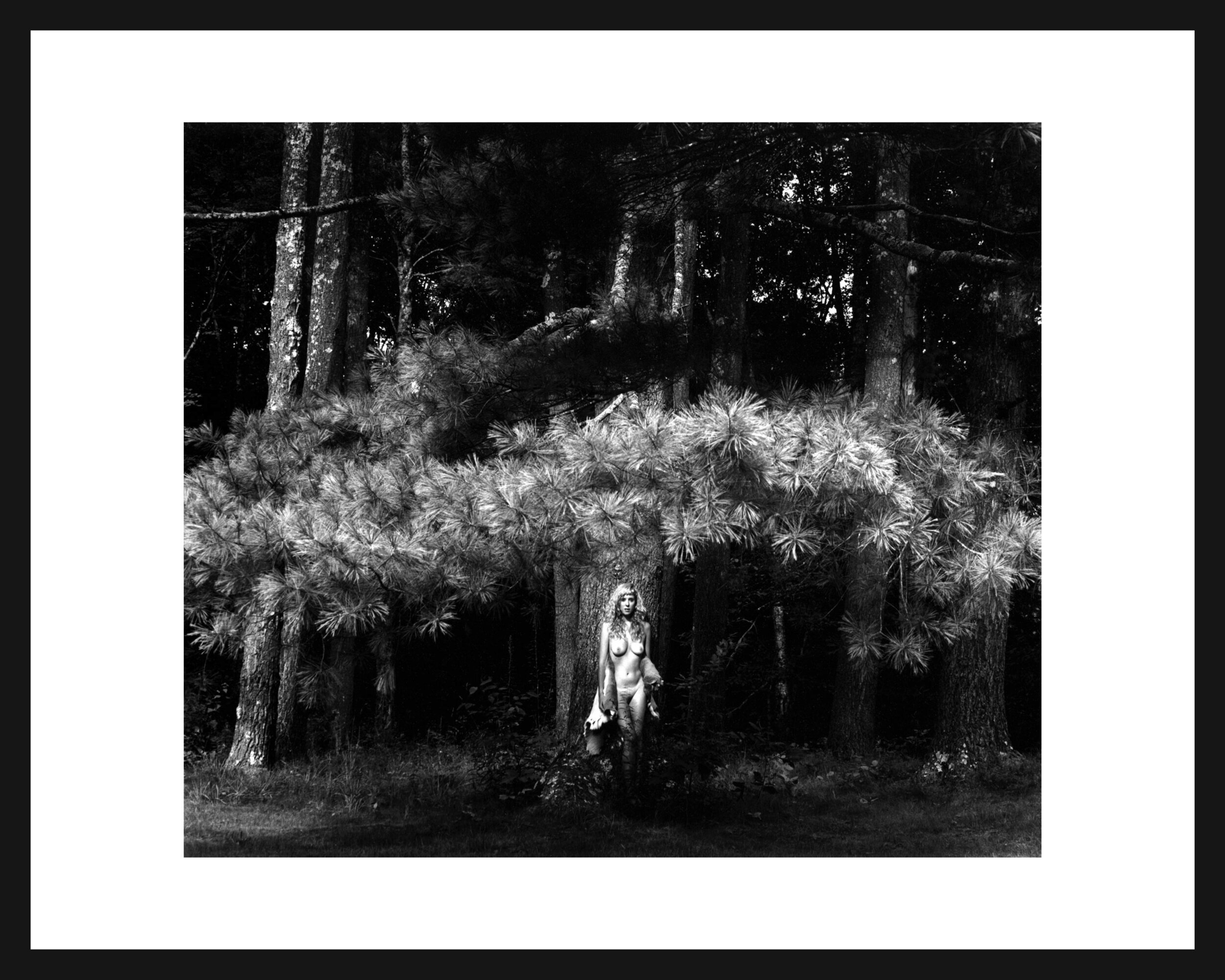 Phoenician-Glade-Framed.jpg