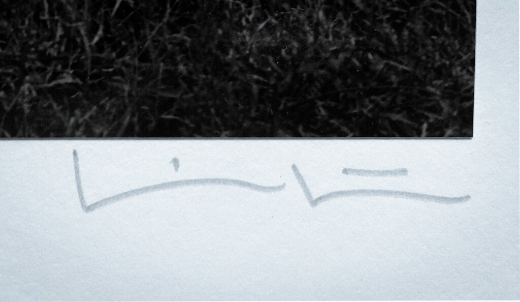 KW-Signature.jpg