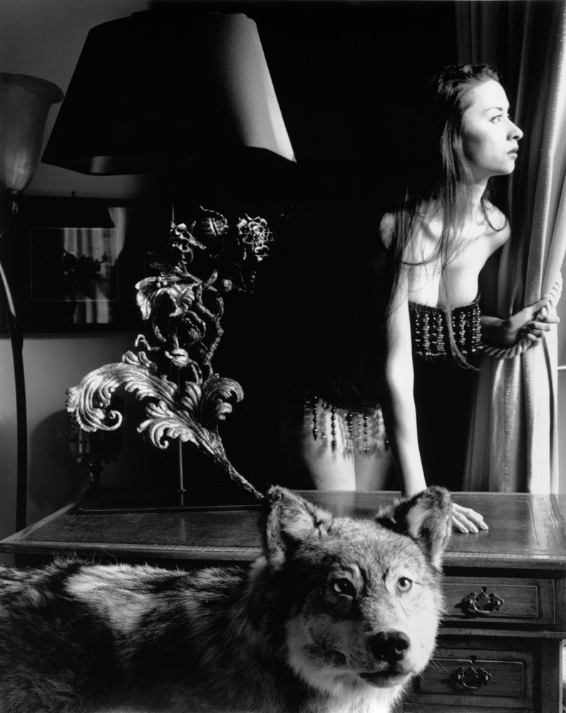 Kim-Weston_Waiting-Wolf_Jan-2015-POM.jpg