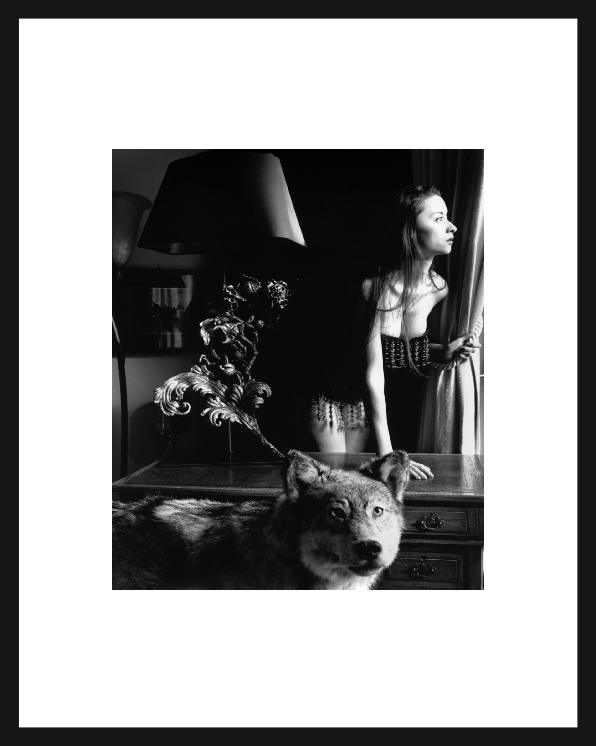 waiting-wolf-framed.jpg