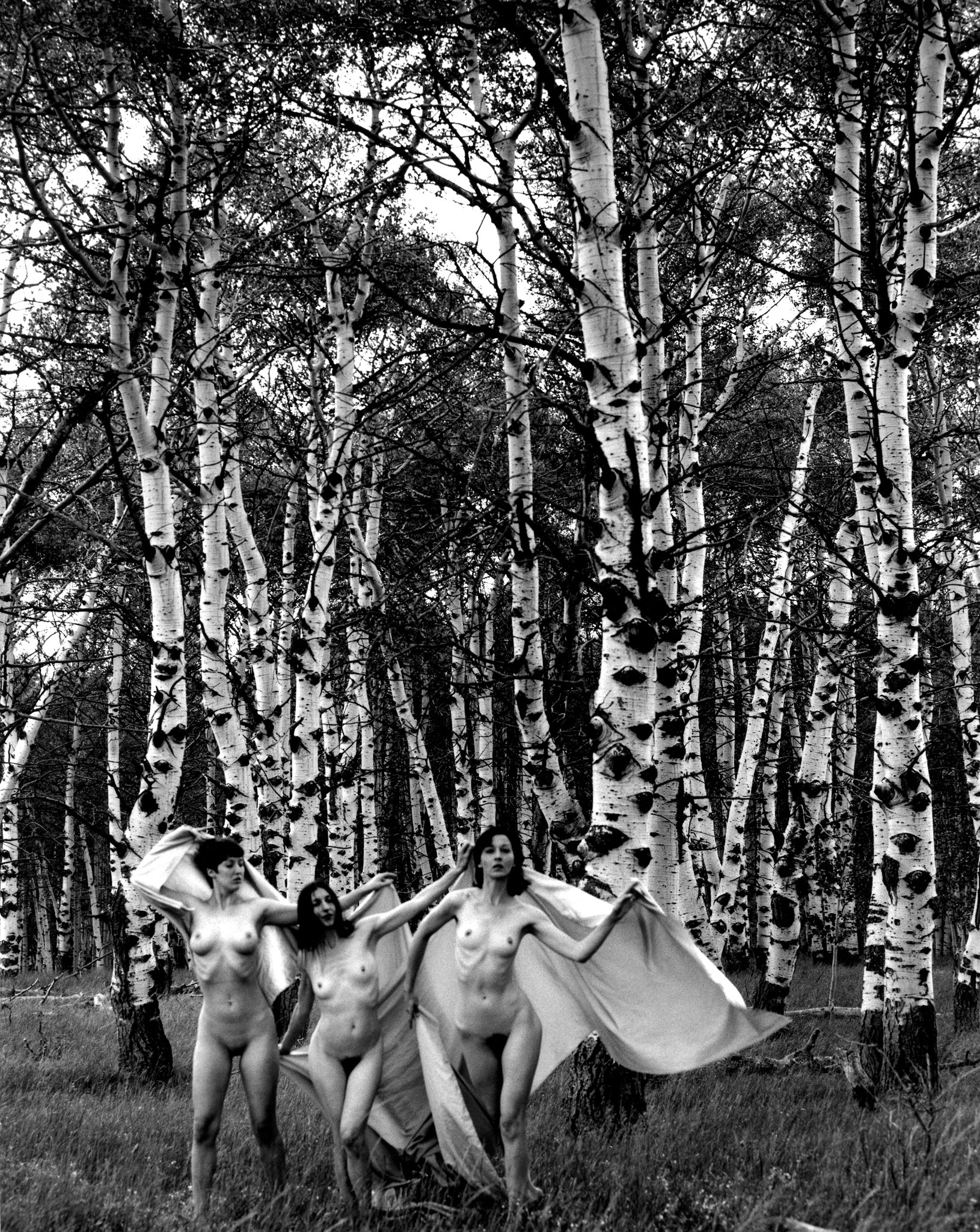©Kim-Weston-Nudes-in-Aspen.jpg