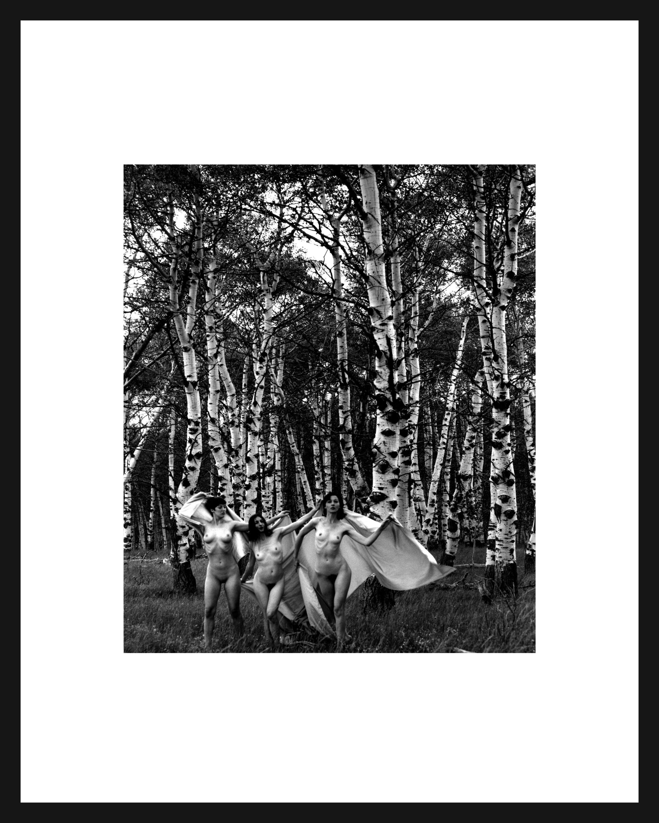 nudes-in-aspen-framed.jpg