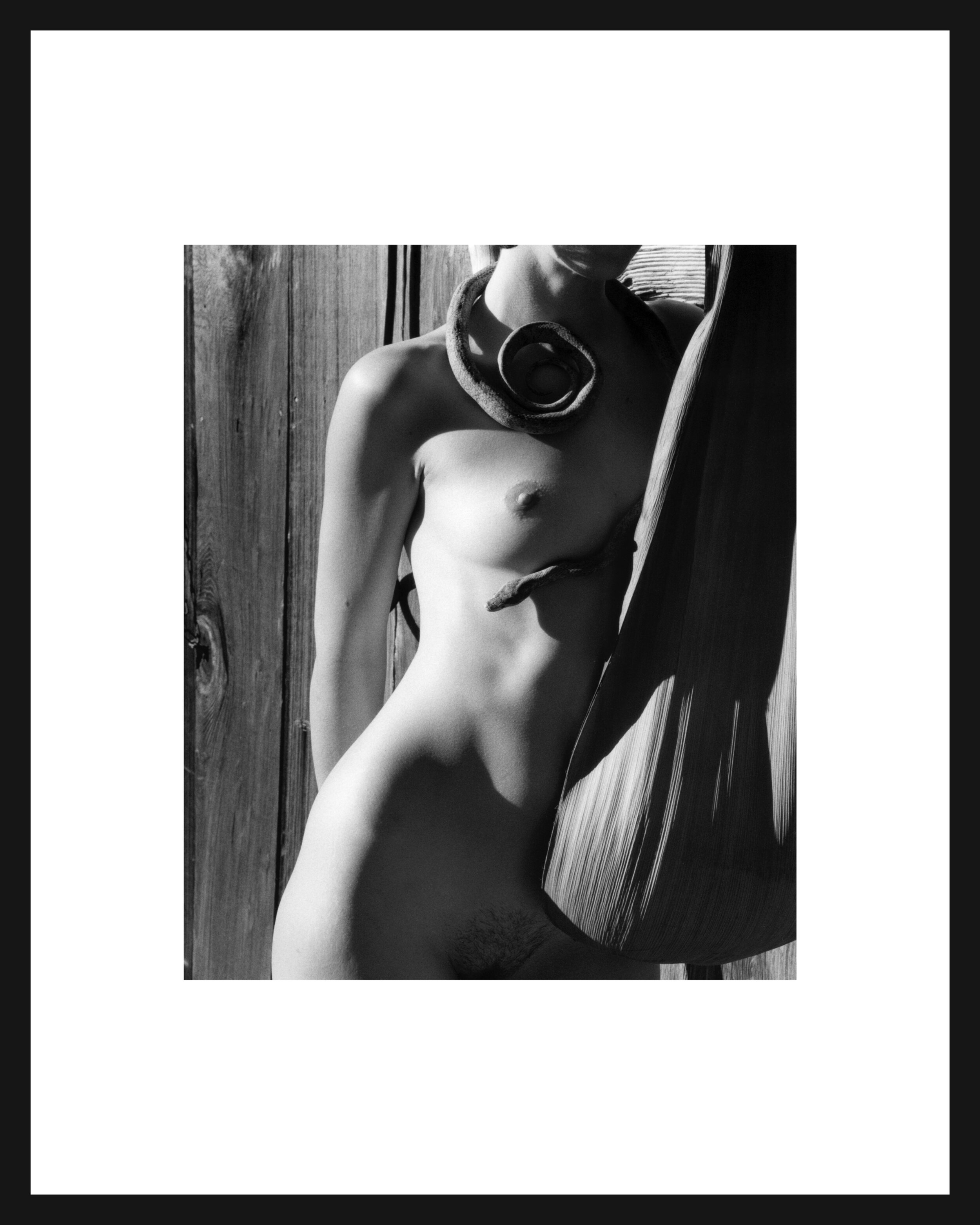 nude-and-snake-framed.jpg