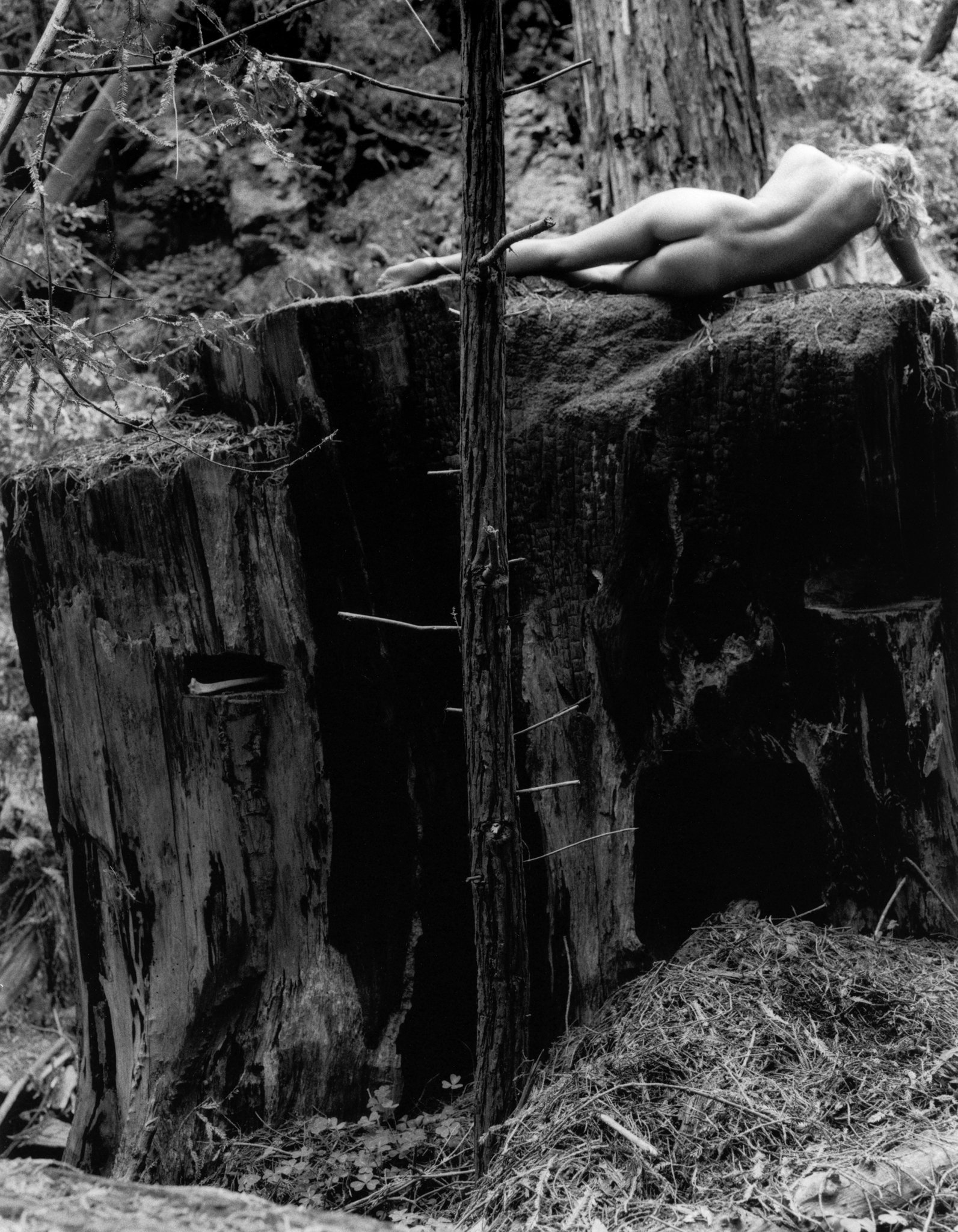 ©Kim-Weston-Joshua-Canyon-Nude.jpg
