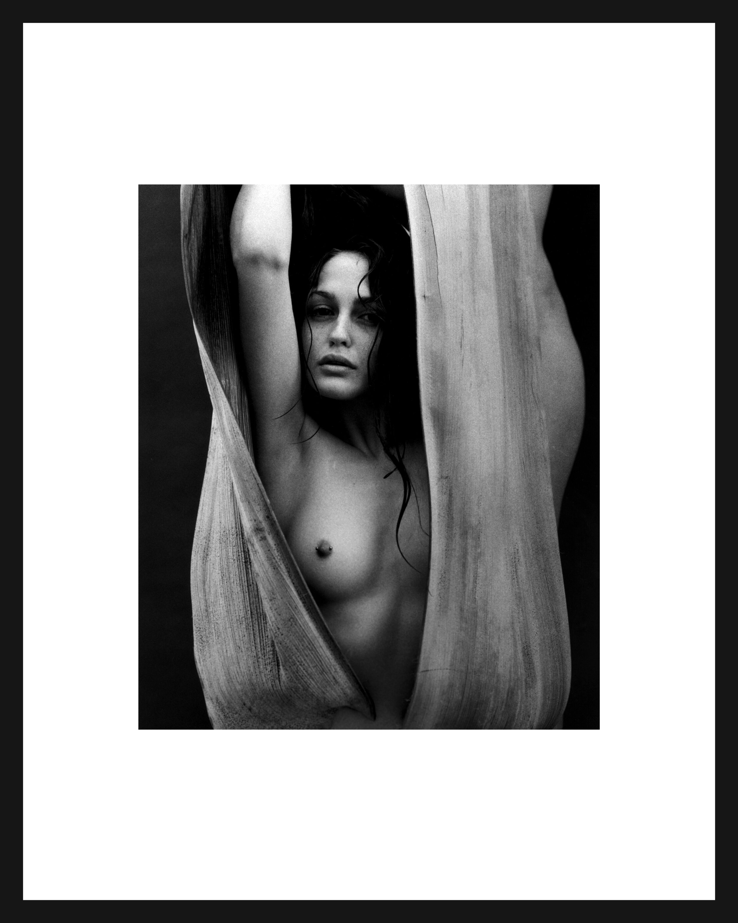 nude-in-leaf-framed.jpg