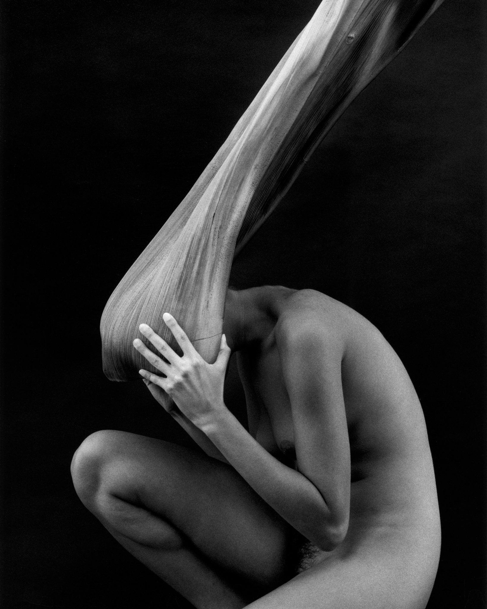 ©Kim-Weston-Nude-and-Palm.jpg