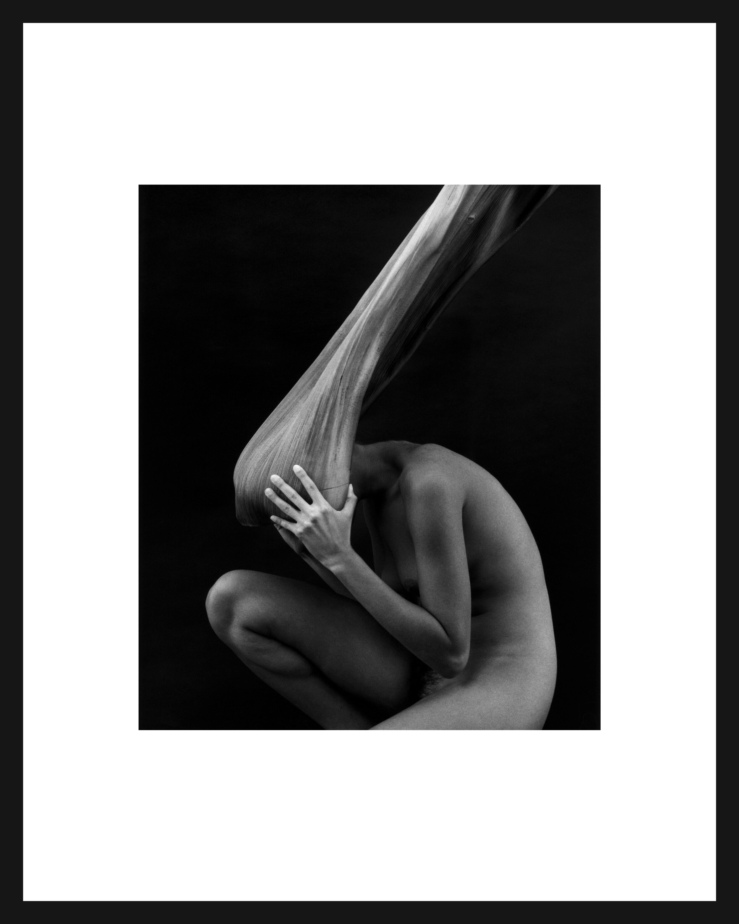 nude-and-palm-framed.jpg