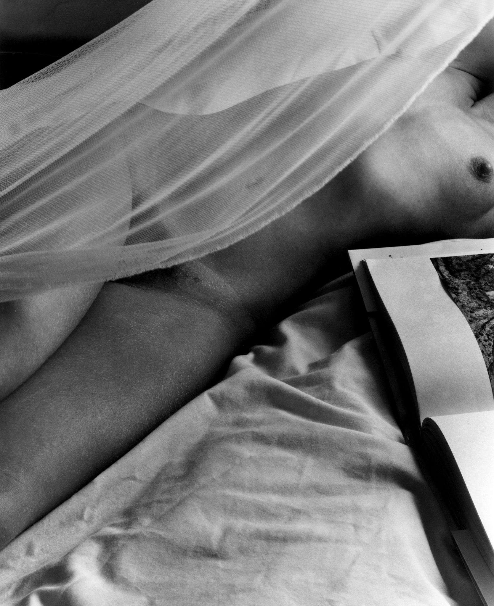 ©Kim-Weston-Nude-in-Veil.jpg