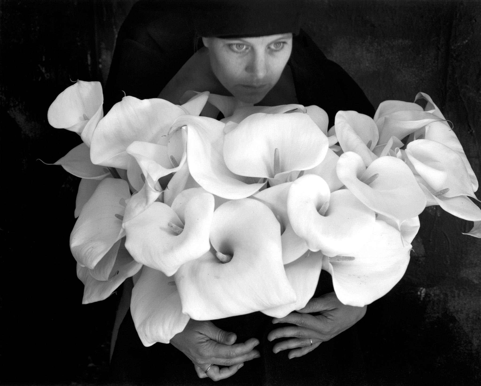 ©Kim-Weston-Calla-Lilies.jpg