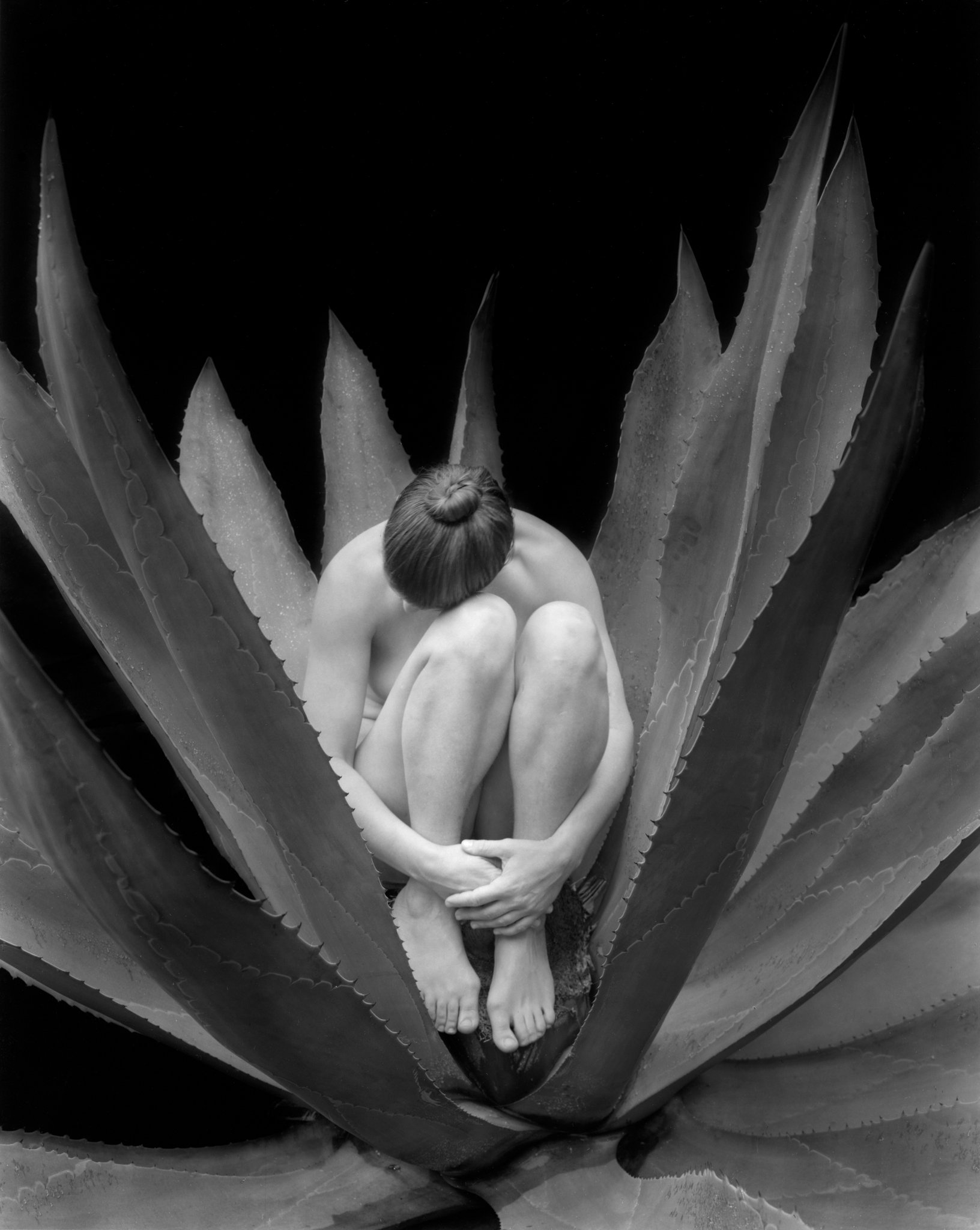 ©Kim-Weston-Nude-in-Cactus.jpg
