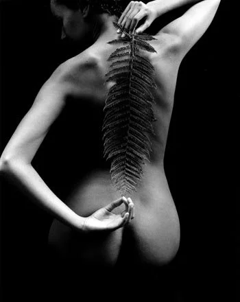 Sept.14-16 Nude Photography Workshop, home of Edward Weston