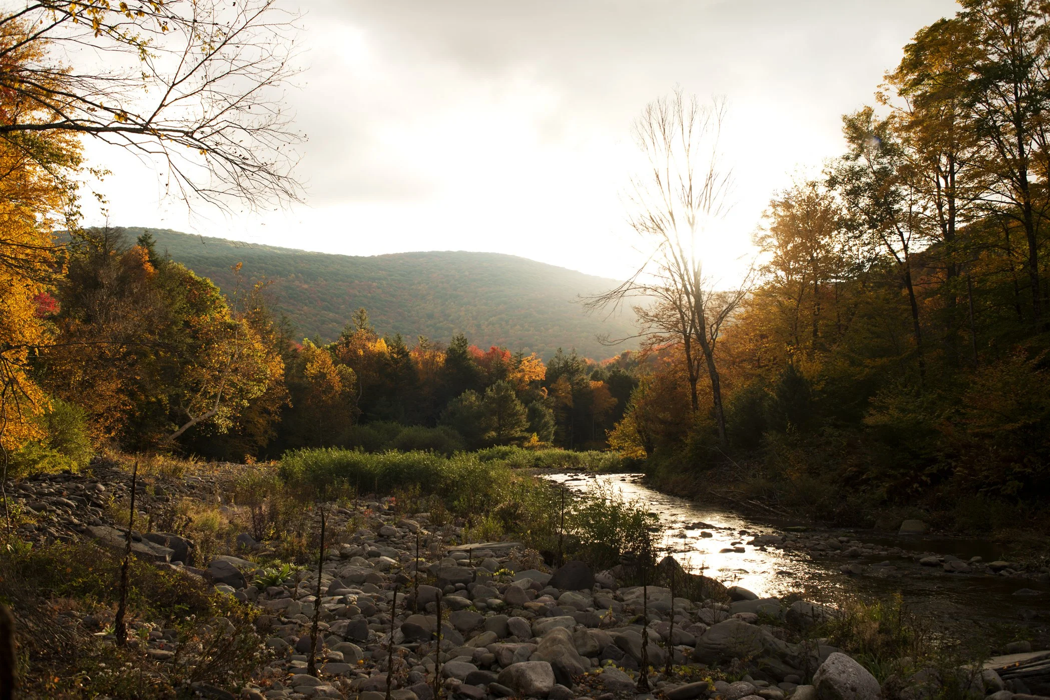 Holz Farm, New York