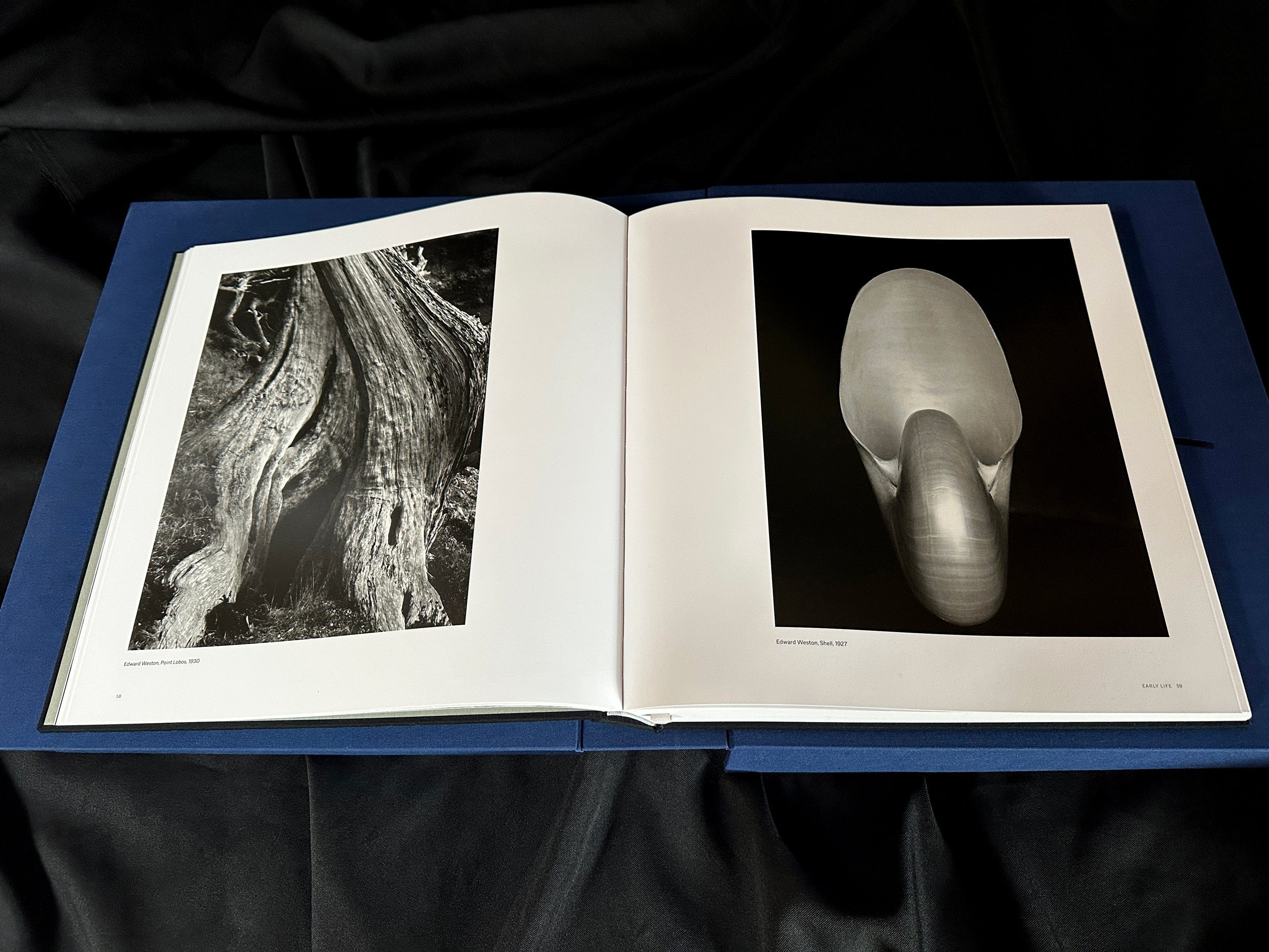 Kim_Weston_Book_Prints_6.jpg