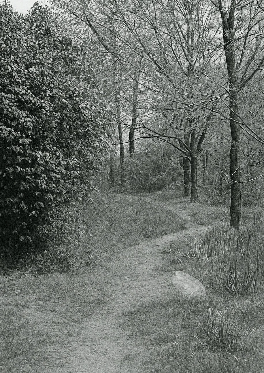 A black and white enhance by AI photograph of a dirt road in the springtime
