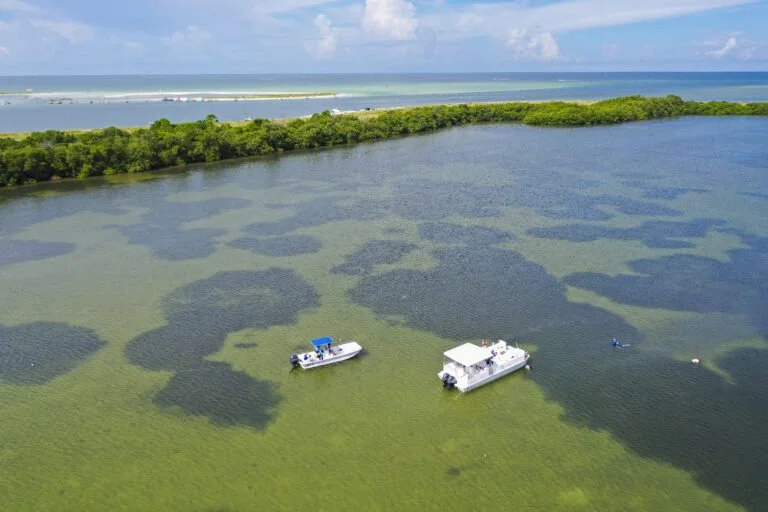 Aerial view of a coastal lagoon with two boats on the water, surrounded by lush green vegetation and a strip of sandy beach with the ocean in the background.