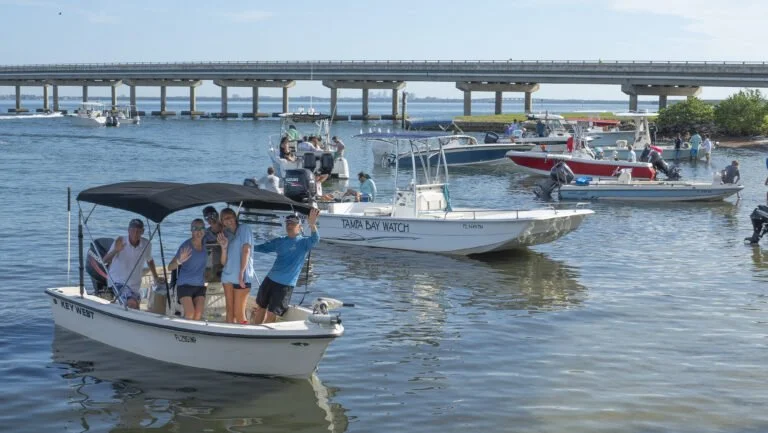 Group of people on boats in a marina with a bridge in the background, sunny weather.