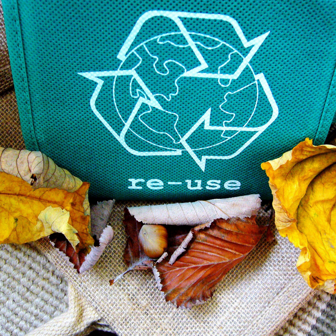 Coastal Cleanups | Join a Coastal Cleanup Today — Tampa Bay Watch