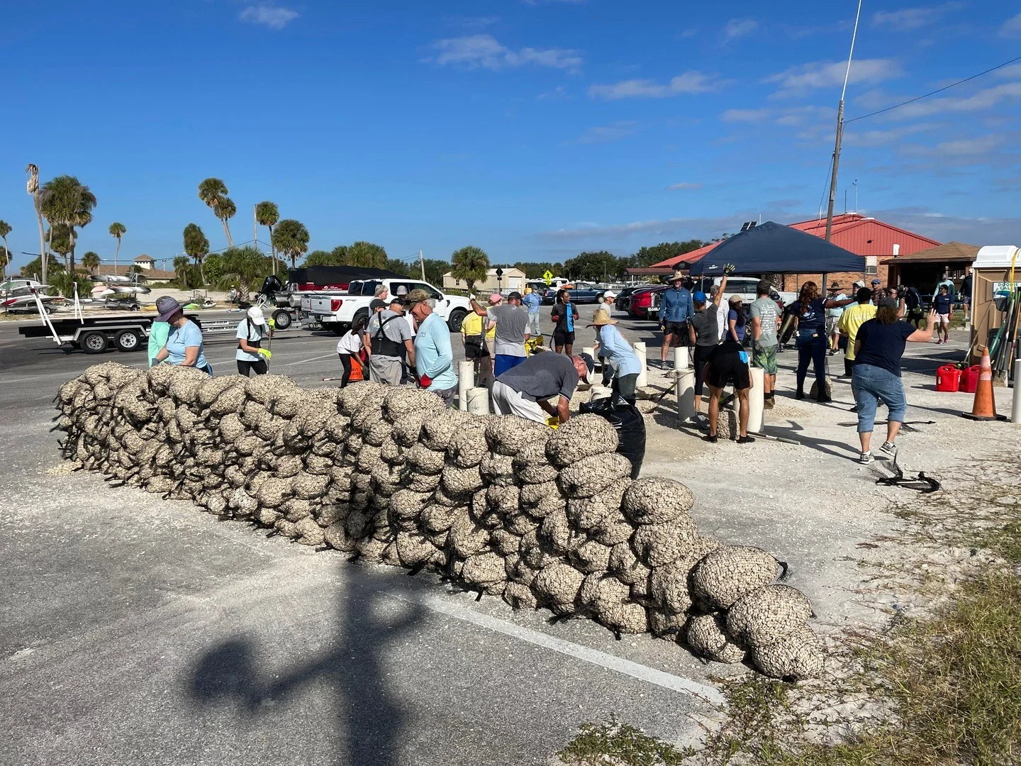 20 TONS! 🦪

Over our two-day restoration project at MacDill Air Foce Base, we collectively installed 20 tons of fossilized shell contributing to this important living shoreline! 

💭The goal of this ongoing project is to stabilize MacDill's eroding 
