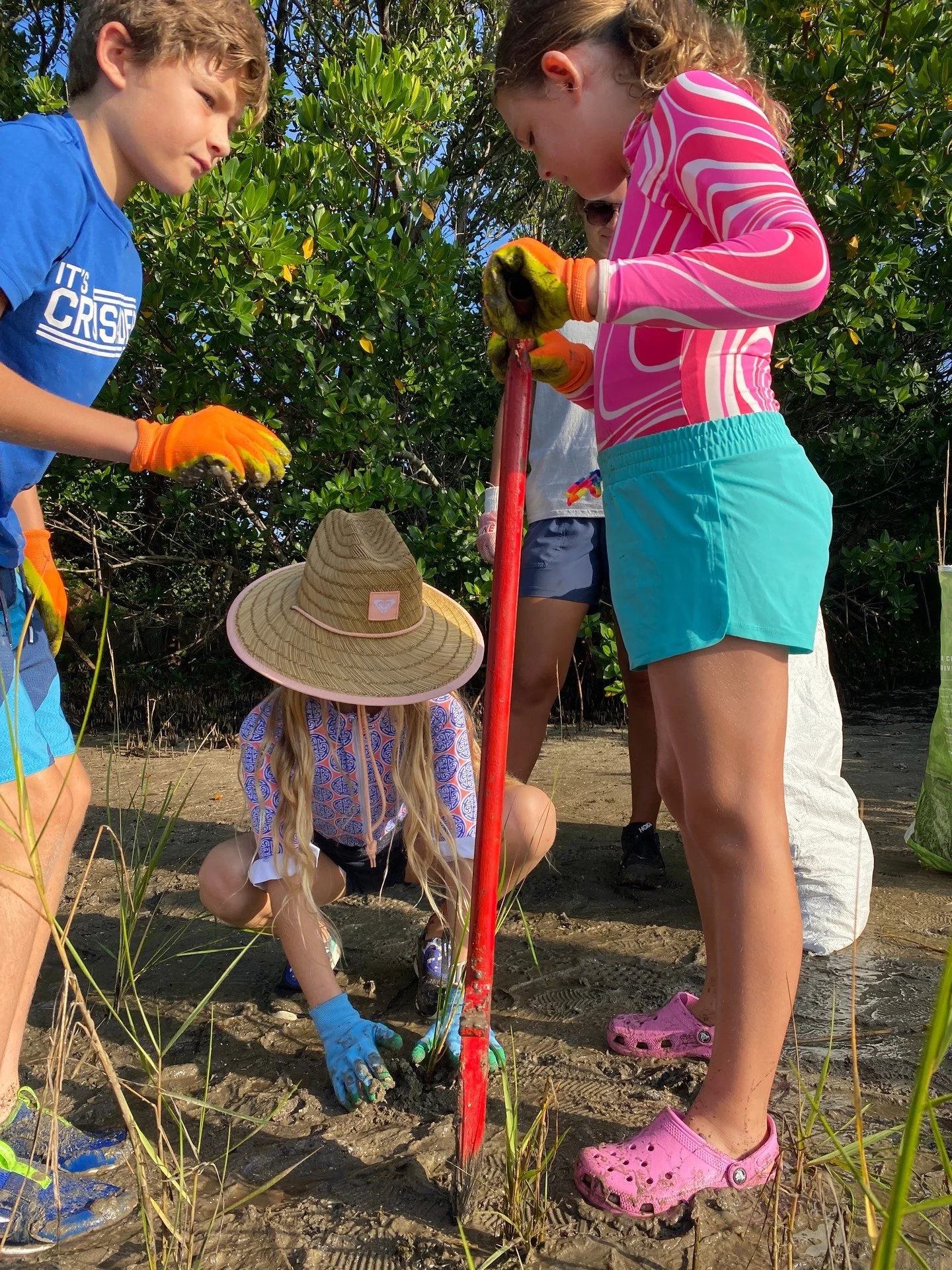 🌱 Last week, students from Canterbury School planted approximately 875 smooth cordgrass plant plugs as part of the ongoing living shoreline project in collaboration with the City of St. Petersburg at Maximo Park! Afterward, they explored the area to