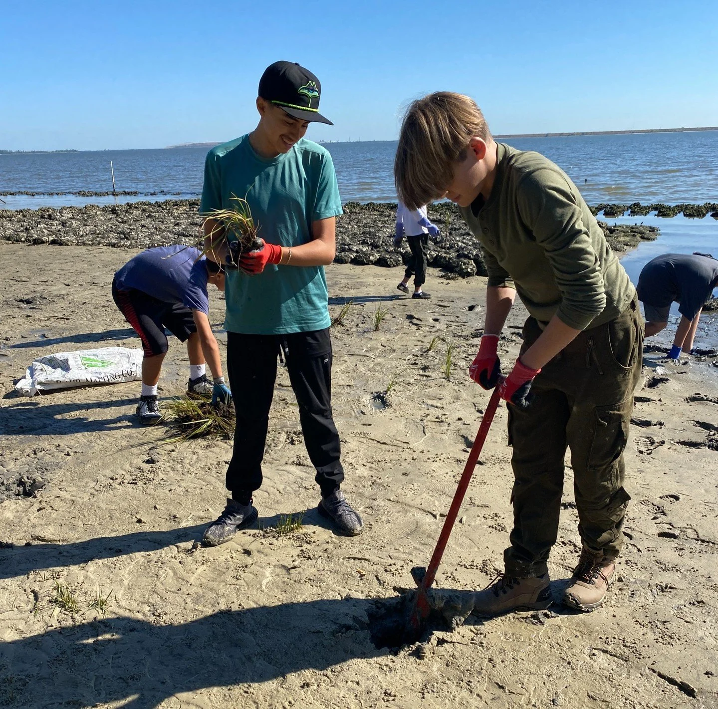 Look at all those plants! 🌱

Last week LLT Academy South Bay students in our Bay Grasses in Classes program (BGIC) transplanted 1,075 plant plugs at MacDill Air Force Base. The students had harvested these plugs from their nursery the previous day! 