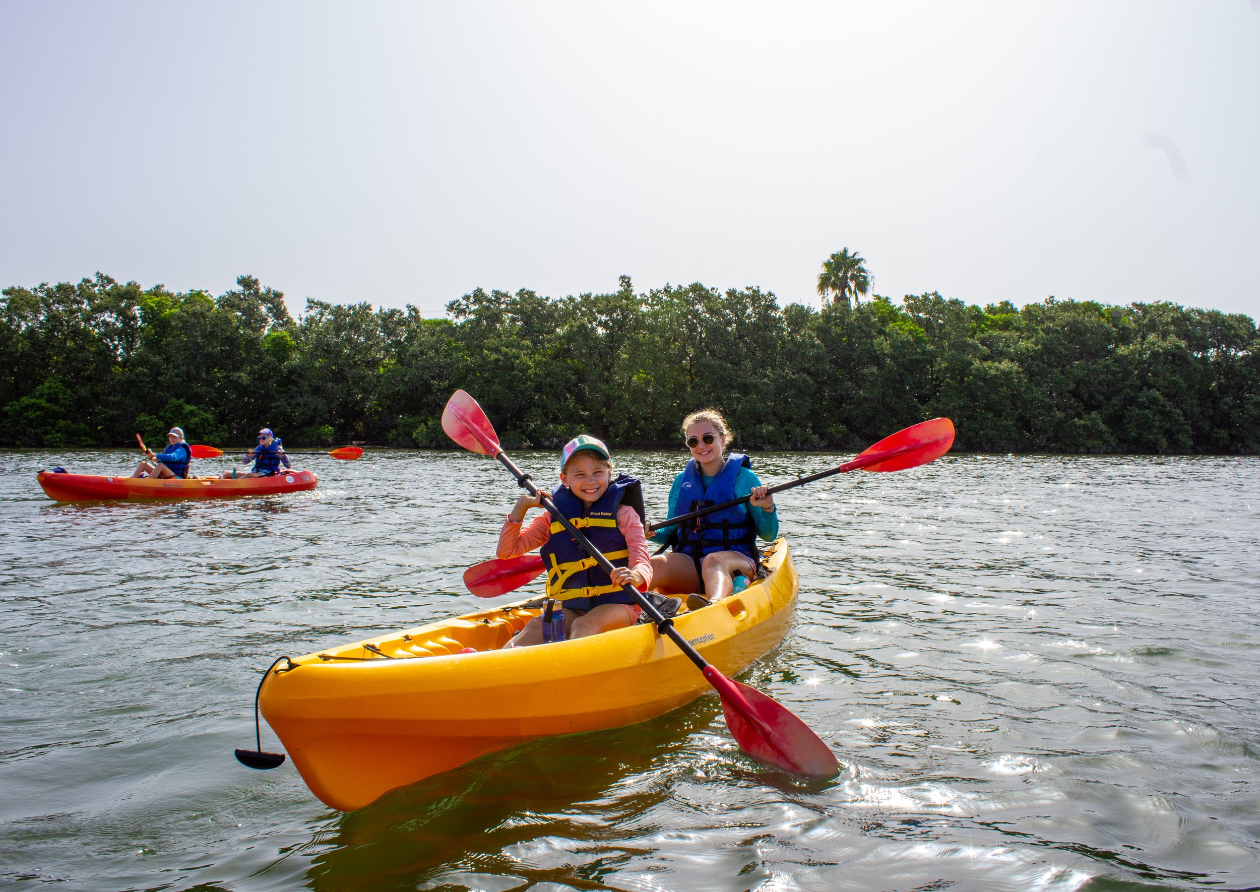 1-ElbyTandemBack 2.JPG