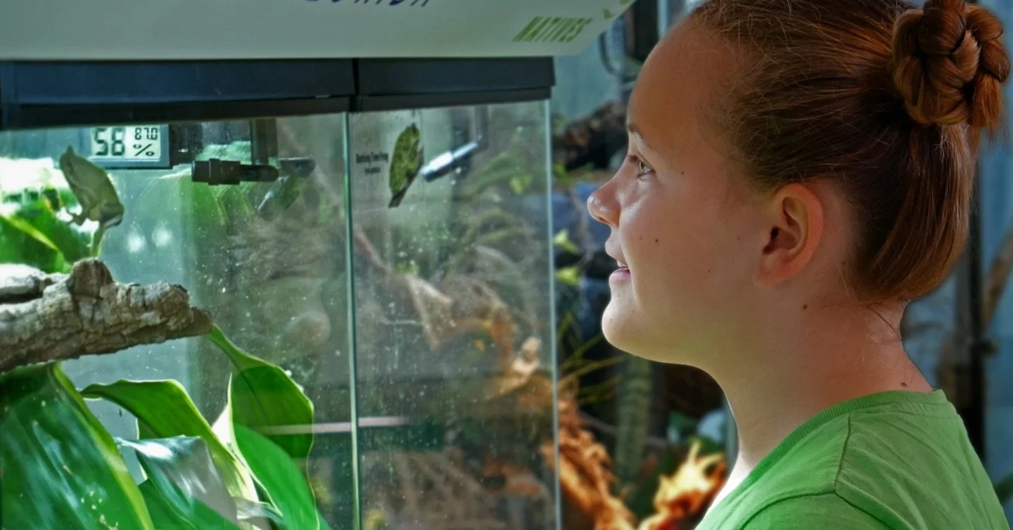 Did you know ❓

Tampa Bay Watch offers homeschool classes at our @tbwdiscoverycenter on the St. Pete Pier! Immersive hands-on classes add to your at-home curriculum and provide fun and wonder! 

🌊 Check out our available classes by visiting the link