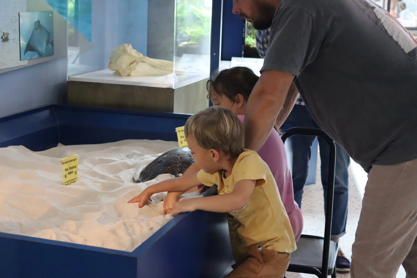 BLACK FRIDAY SALE! 🛍️

Get 25% OFF gift certificates purchased from 11/28-12/1 with code holidays25! Gift certificates are redeemable for ANY educational public program at Tampa Bay Watch! 

🎁 Join in on the jolly and gift someone the wonders of th