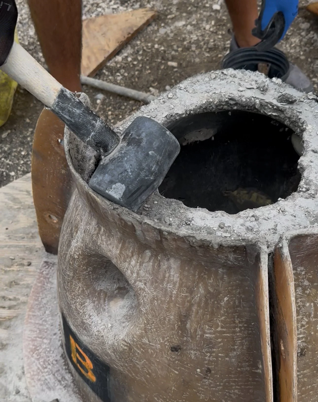 Looking to volunteer in the New Year? 👀 Our volunteer calendar is up to date with some new activities that will contribute to restoring the bay every day! 

🔗 Visit the link in our bio to view our volunteer calendar and sign up for an upcoming date