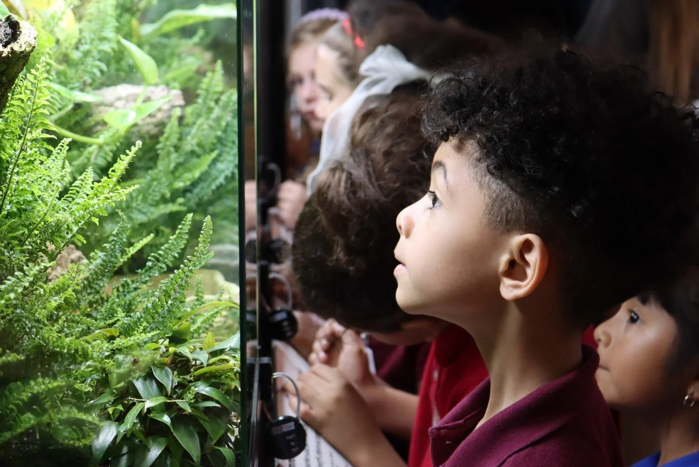 Dimmed lights and less noise - a sensory friendly experience for explorers. 🫧

Join us for Sensory Sunday, a sensory friendly experience Jan. 18 from 8:30 a.m. to 10 a.m. Enjoy hands-on learning during a program designed for those with sensory proce