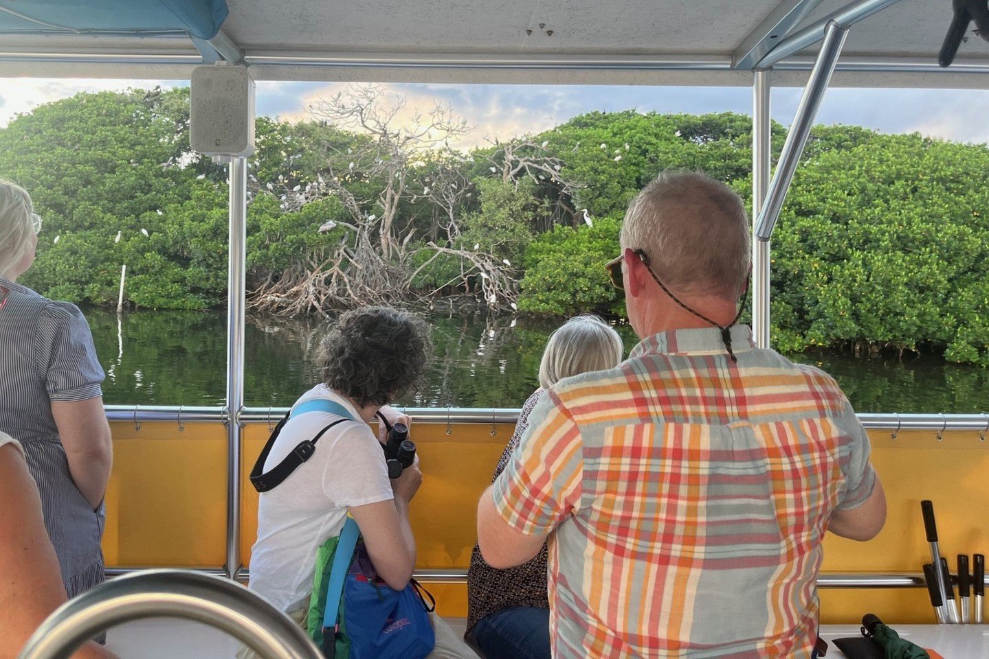 Have you experienced our Art and Nature Sunset Tour with the @mfastpete? What are you waiting for? 🌅

This unique program immerses you in art and nature and explores how nature sparks creativity in humanity. Start with a docent-led tour through the 