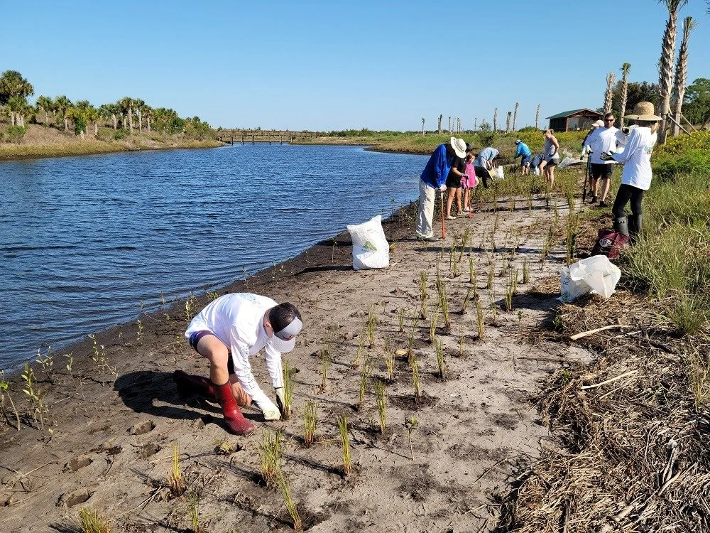 Get your hands dirty! 🌱 Tampa Bay Watch, in partnership with Manatee County&rsquo;s Natural Resource Department, is recruiting volunteers for a community native planting event at the Robinson Preserve Expansion from 9 a.m. to 12 p.m. on Friday, Marc
