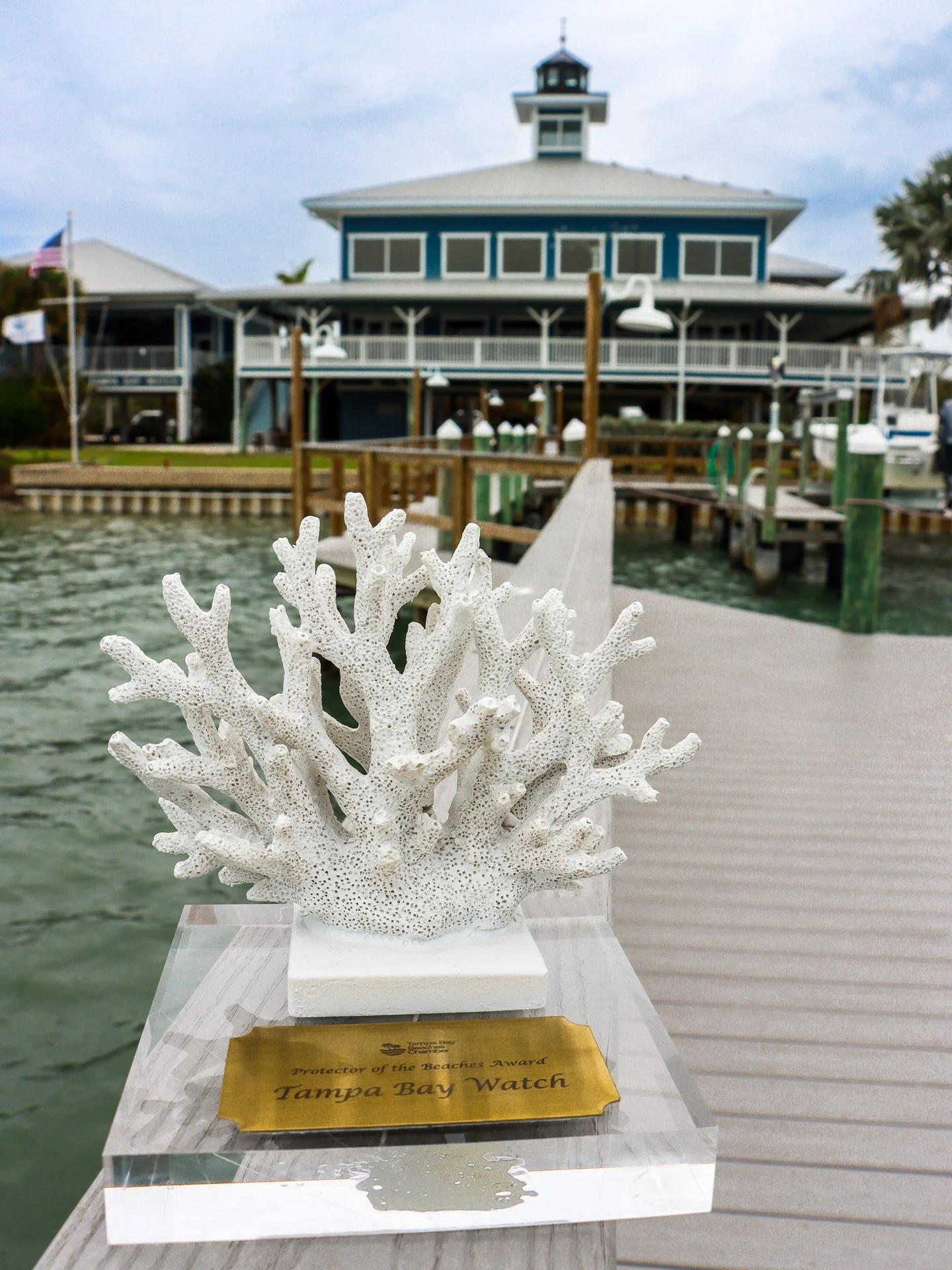 What an incredible evening with the Tampa Bay Beaches Chamber at their Annual Dinner! Thank you to the chamber for hosting us at such a wonderful event. We were honored to accept the Protector of the Beaches award last night. Here's to restoring the 
