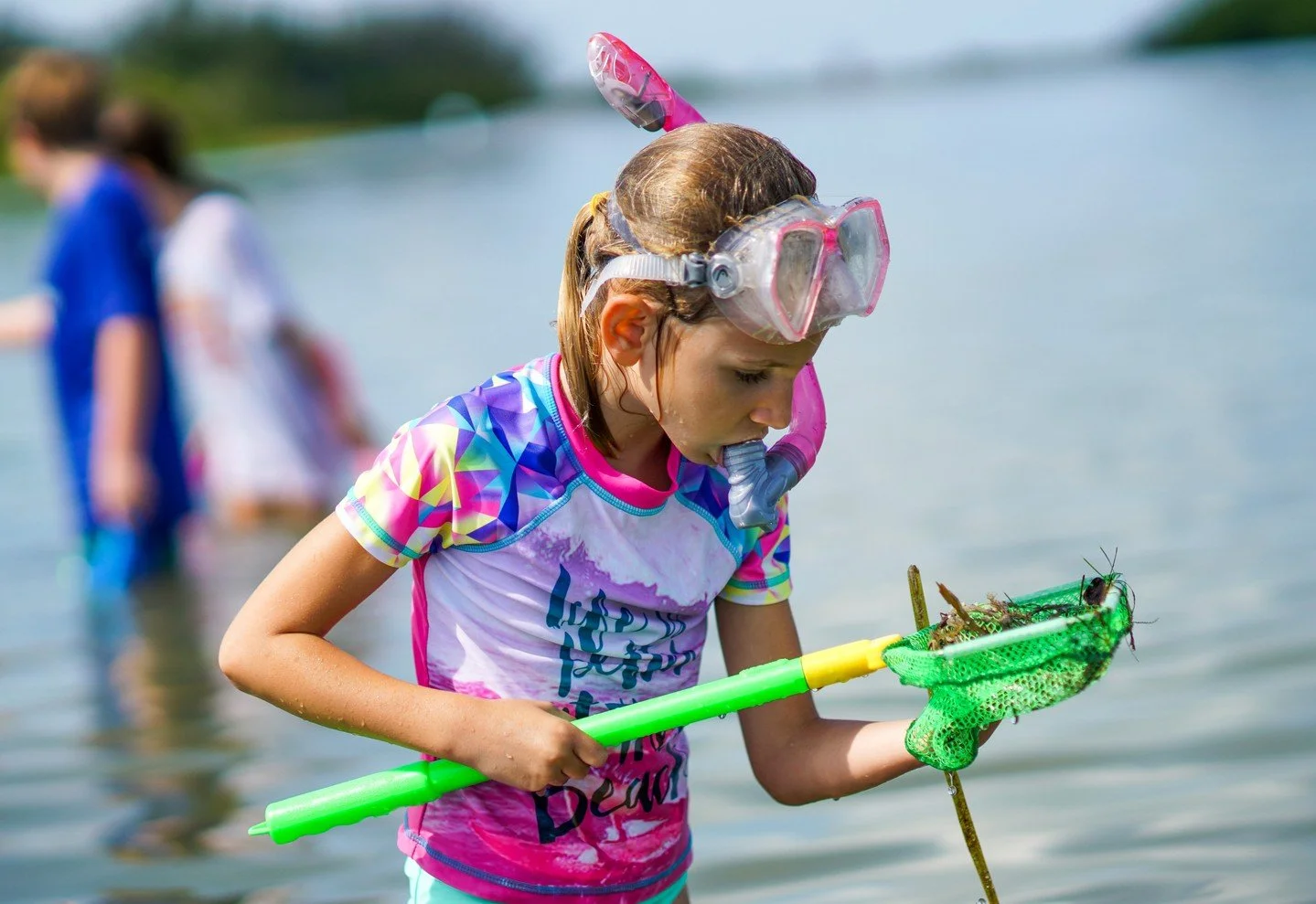 Register NOW! 🚨

Summer Camp registration is open! Don't miss your chance to sign up for a summer packed to the gills with fun! Enjoy boat days, hands-on marine science and crafts, kayaking, snorkeling and even some animal encounters. 

With two loc