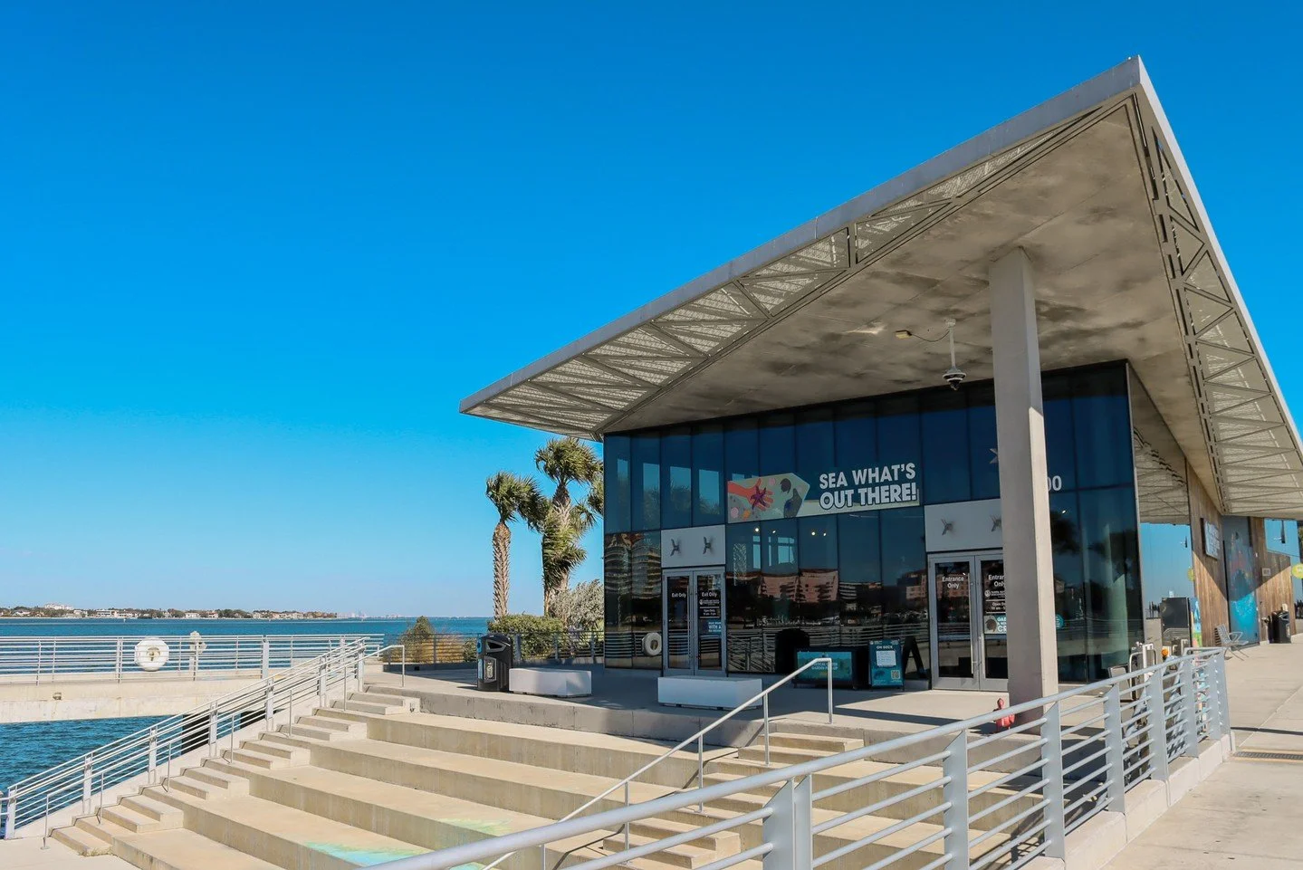 ☀️Looking for things to do in St. Pete? Splash into Spring by visiting our Tampa Bay Watch Discovery Center on the St. Pete Pier! 

Explore and learn all about Tampa Bay -Florida's largest open water estuary - through interesting exhibits, animal enc