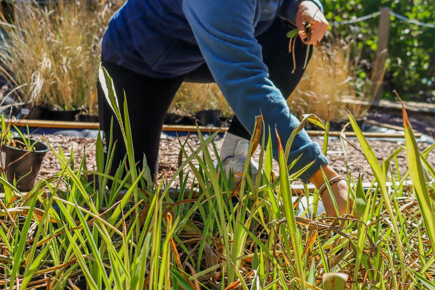 It's Earth Month! 🌎 

Join us all month long as we celebrate our beautiful Tampa Bay waters and what makes them so special. Florida&rsquo;s largest estuary has so much to discover&mdash;and it's all waiting there for YOU! 

Looking for ways to celeb