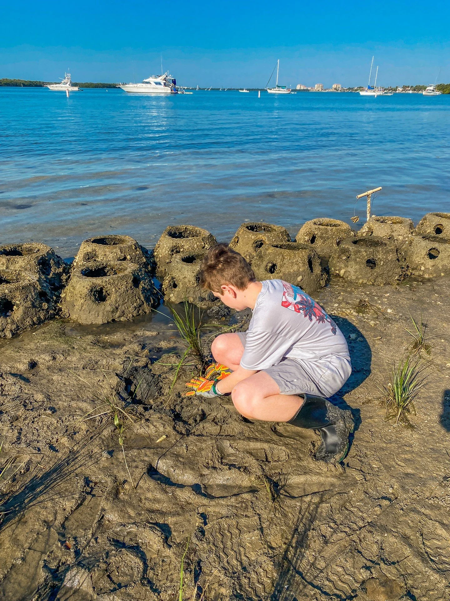 HOW many native plants ⁉️ 

Our Bay Grasses in Classes Program has closed out its 2025-2026 season rooted in success! In total, BGIC students from all participating schools this season transplanted over 5,500 native wetland plants, helping to strenth