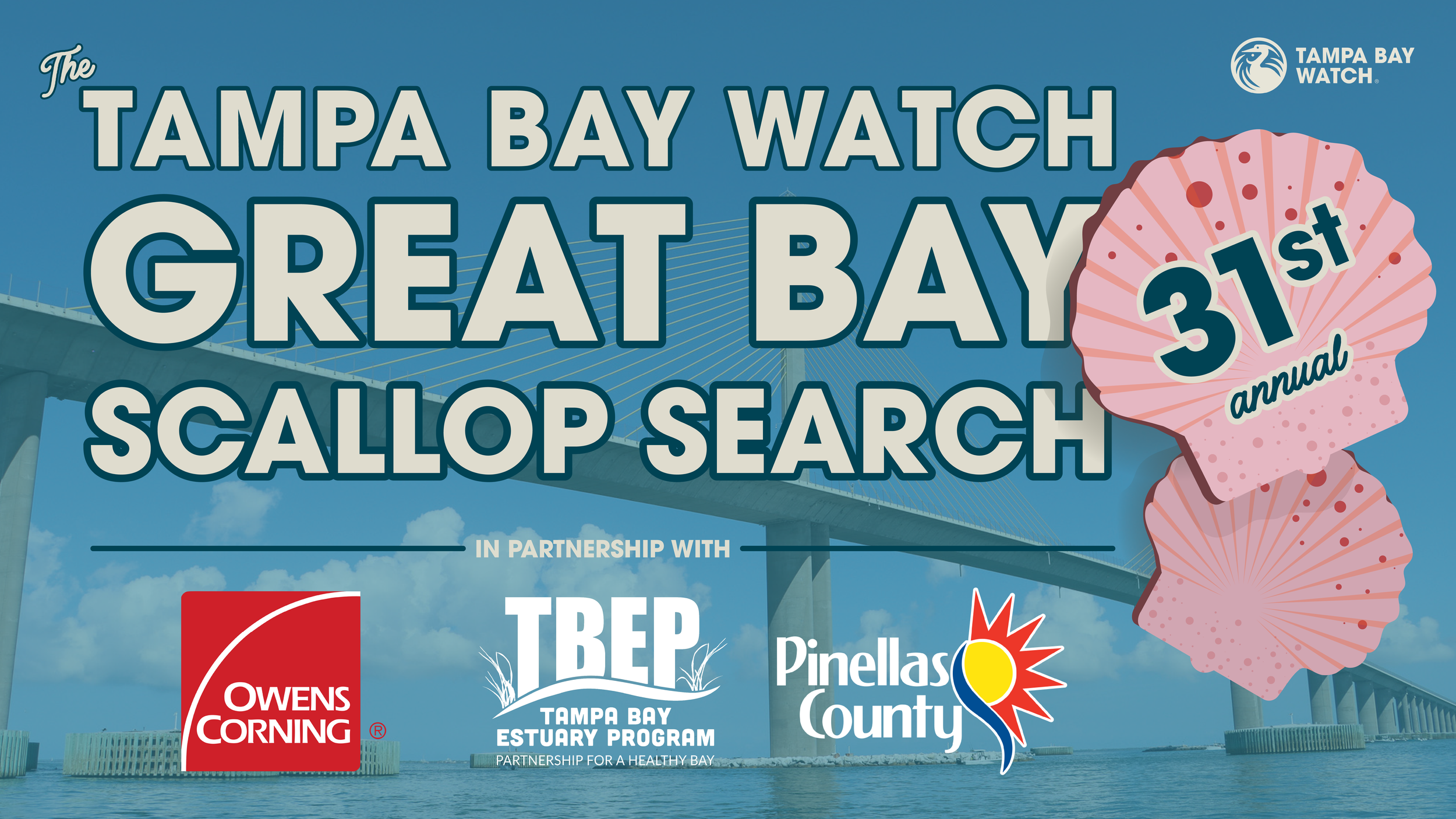 Great Bay Scallop Search in Flroida Tampa Bay Watch volunteer citizien science event