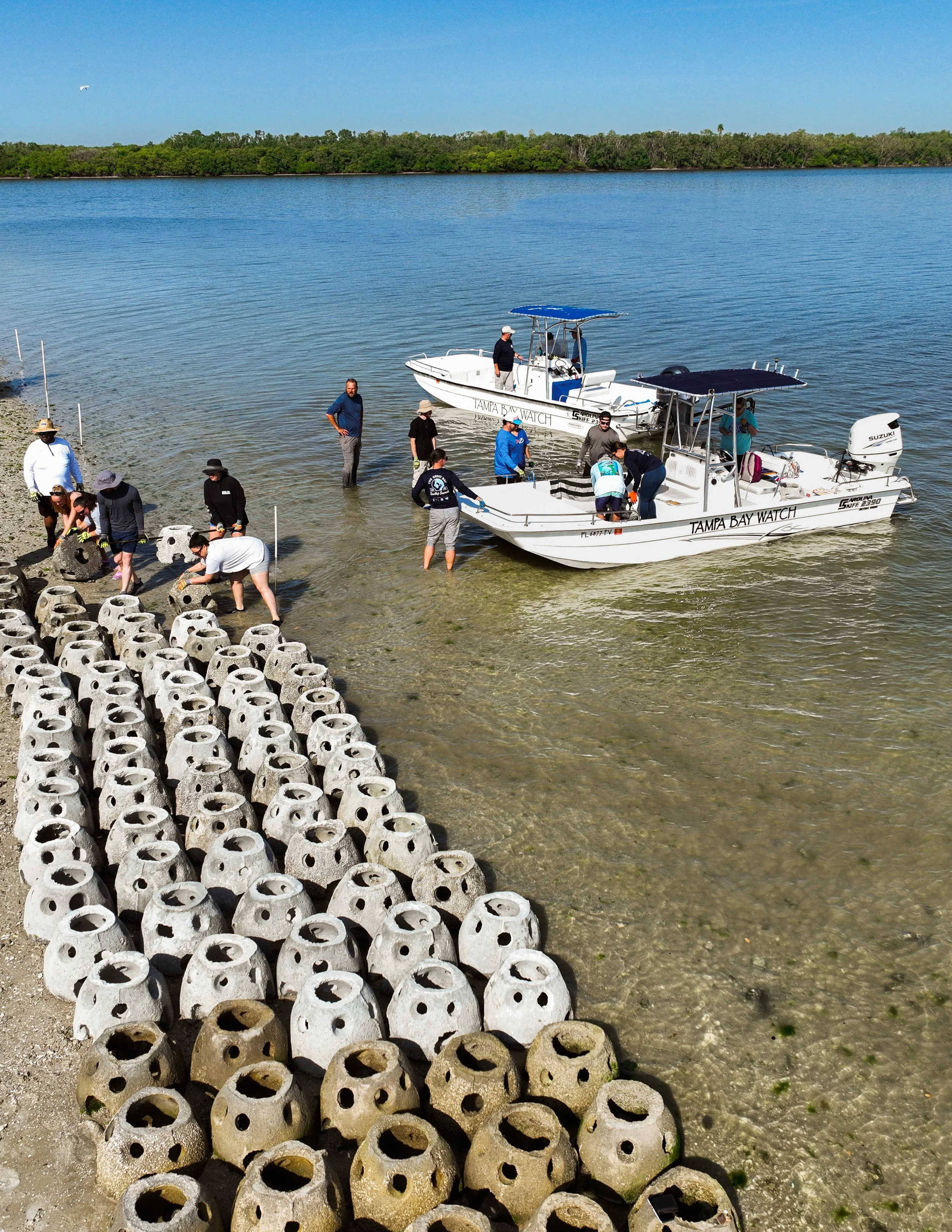 Tampa Bay Watch Living Shoreline Event